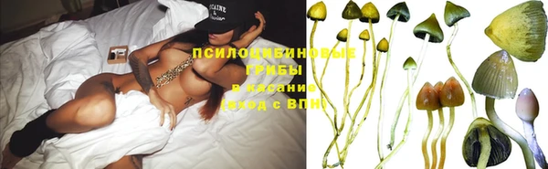 хмурый Абаза