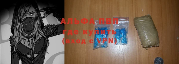 хмурый Абаза