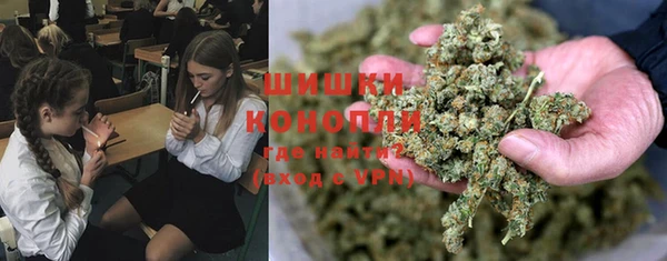 хмурый Абаза