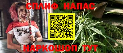 бошки Дубна