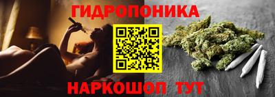 бошки Дубна