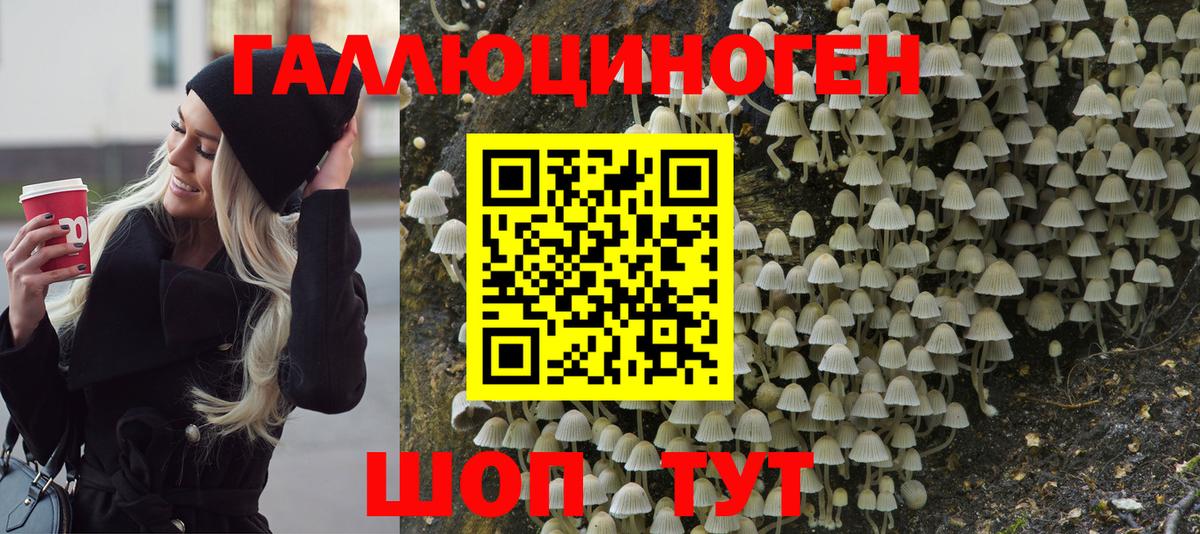 Псилоцибиновые грибы мухоморы Кизилюрт