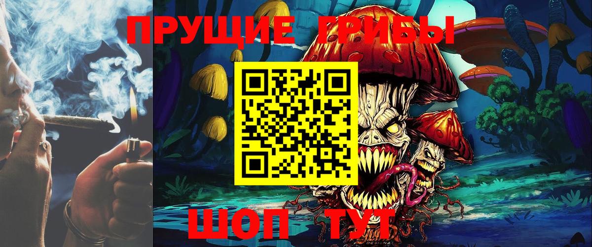 где продают   Вход с VPN  Кизилюрт  Псилоцибиновые грибы ЛСД 